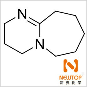 Polyurethane catalyst DBU